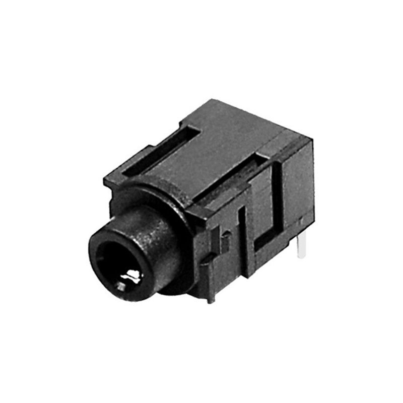 PJ31300.jpg