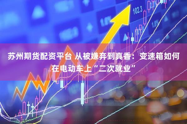 苏州期货配资平台 从被嫌弃到真香：变速箱如何在电动车上“二次就业”